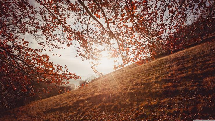 4K - autumn_sunset_in_trascau_mountains_romania-wallpaper-3840x2160.jpg
